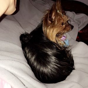 Meet your Posher, Nayeli